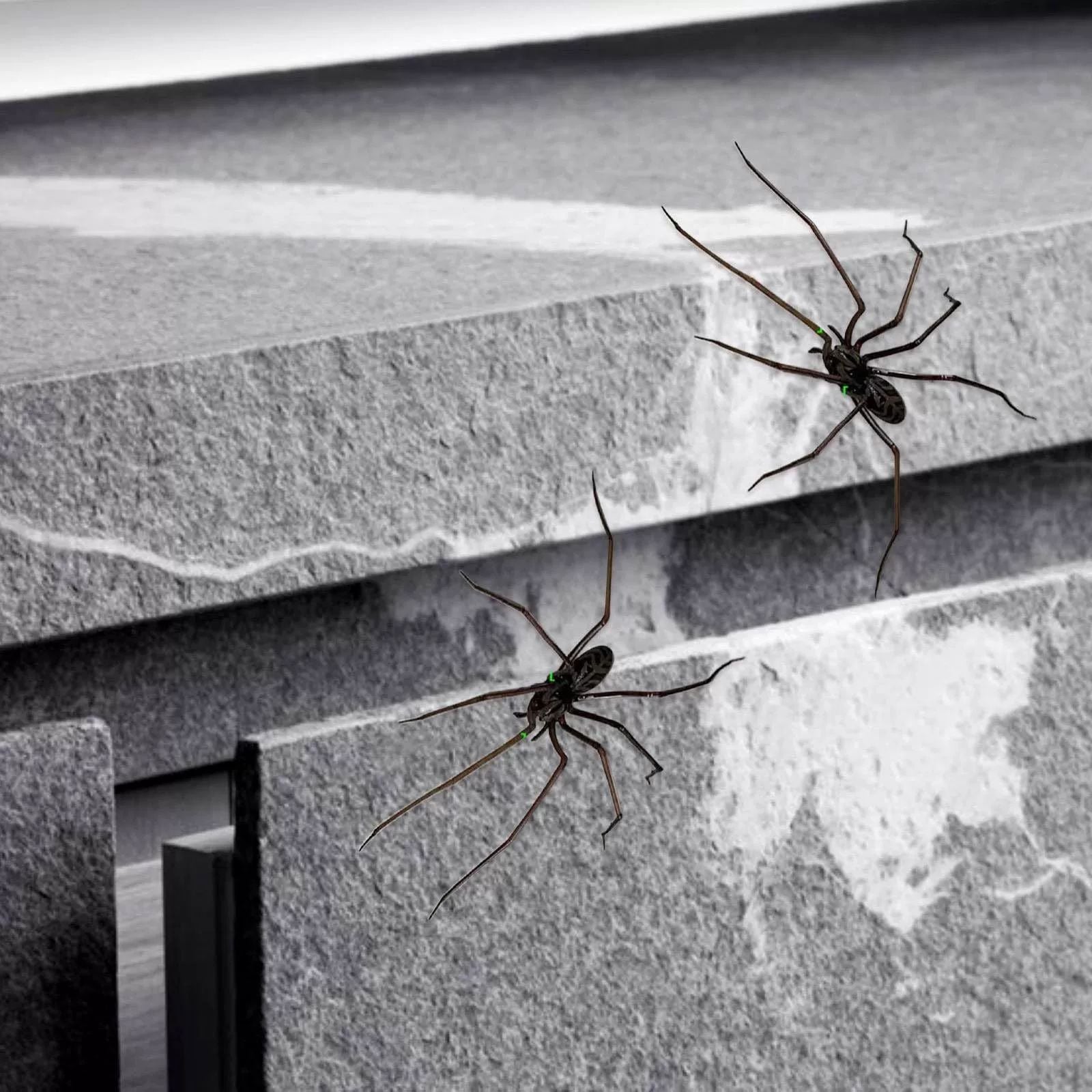 Wholesale  Home Decoration  Horror Fridge Magnet